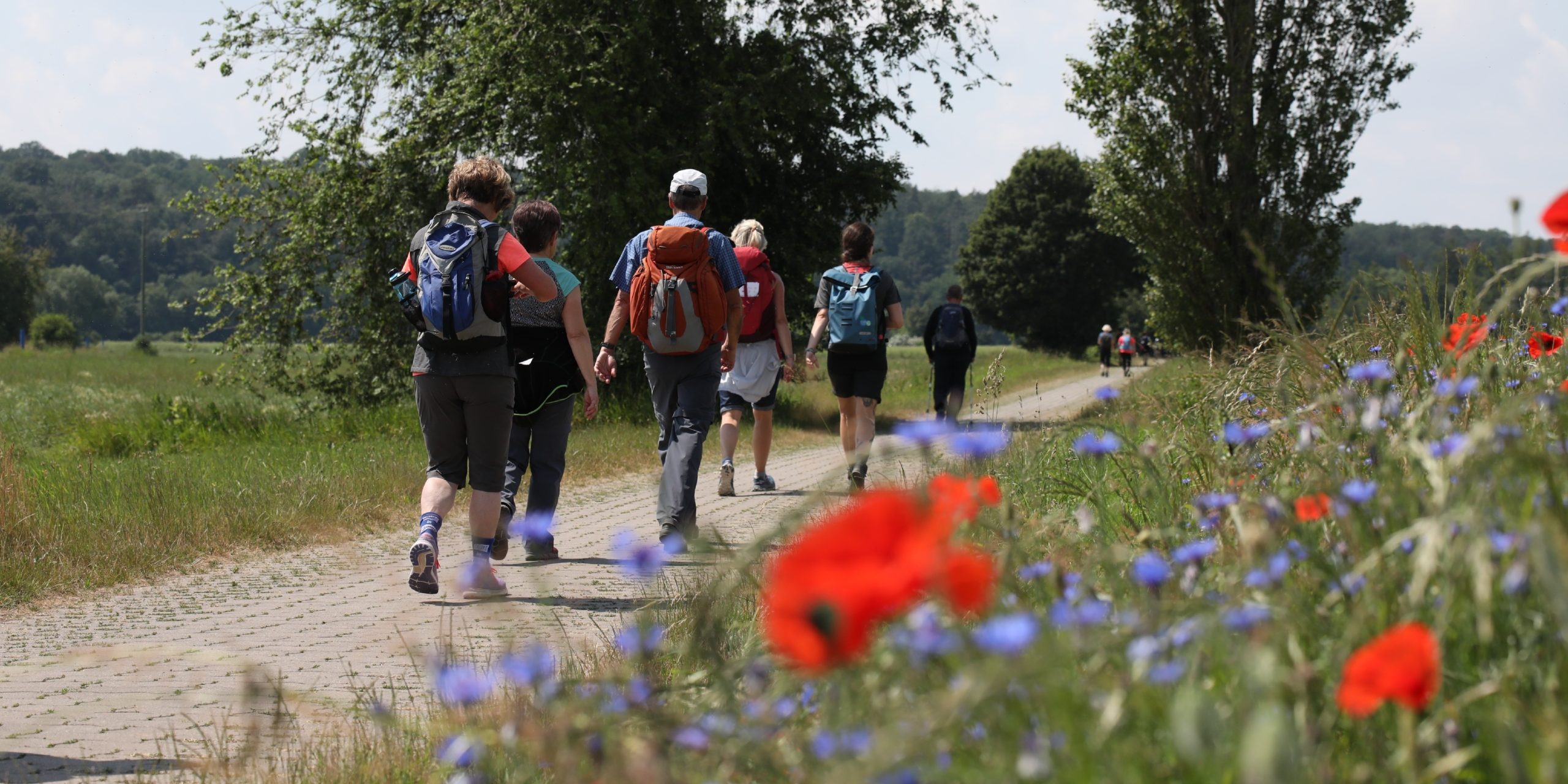 Hikedeluxe – Strecke