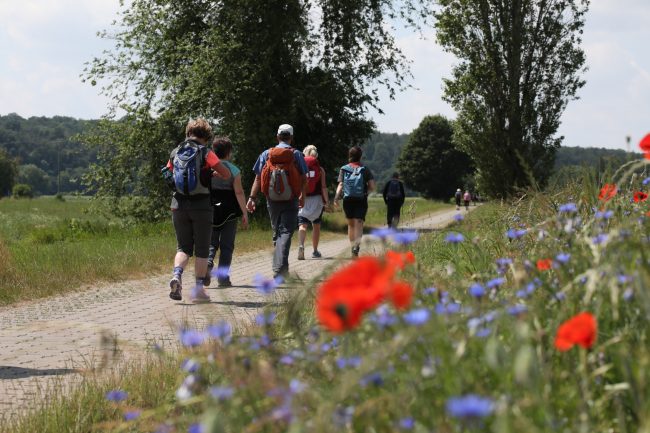 Hikedeluxe – Strecke